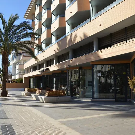 Albir Ibo *