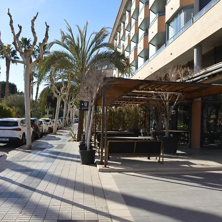 Albir Ibo *